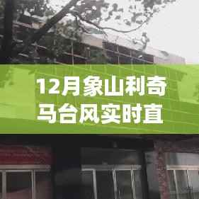利奇马台风侵袭象山，实时直播记录与深度解析风暴之旅