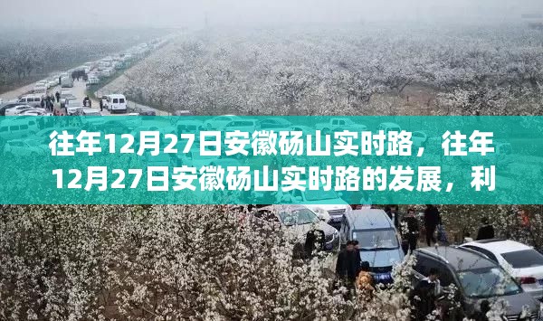 安徽砀山实时路发展回顾,利弊分析与个人立场观点分享
