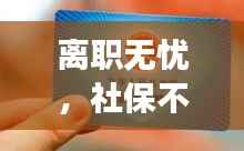 离职无忧,社保不断交攻略!