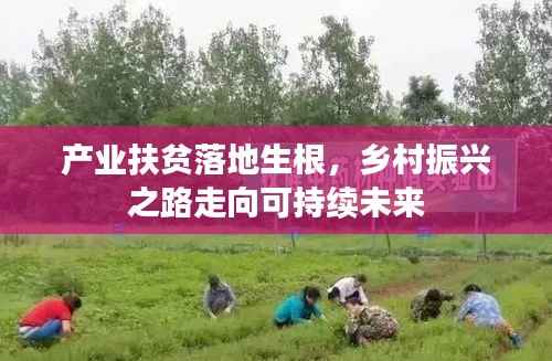 产业扶贫落地生根，乡村振兴之路走向可持续未来