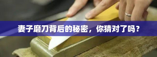 妻子磨刀背后的秘密,你猜对了吗?