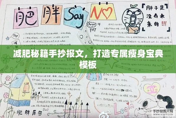 减肥秘籍手抄报文,打造专属瘦身宝典模板