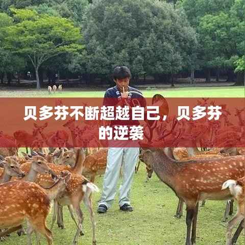 贝多芬不断超越自己,贝多芬的逆袭