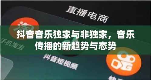 抖音音乐独家与非独家,音乐传播的新趋势与态势
