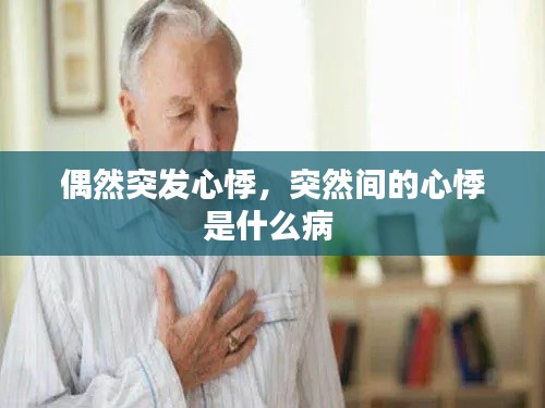 偶然突发心悸,突然间的心悸是什么病