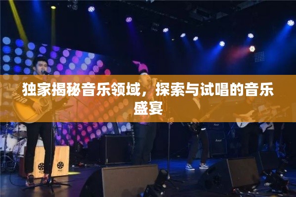 独家揭秘音乐领域，探索与试唱的音乐盛宴