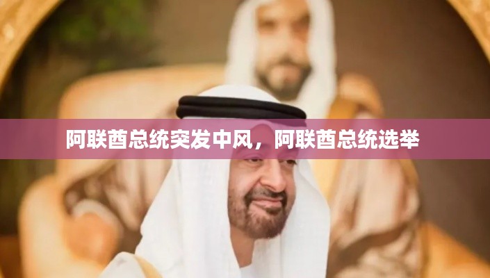 阿联酋总统突发中风,阿联酋总统选举