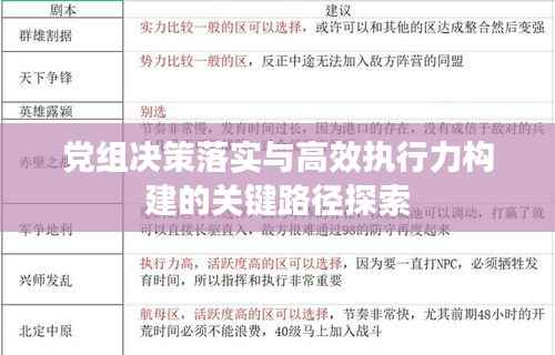 党组决策落实与高效执行力构建的关键路径探索