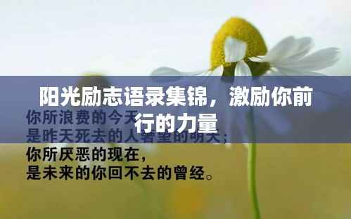阳光励志语录集锦，激励你前行的力量