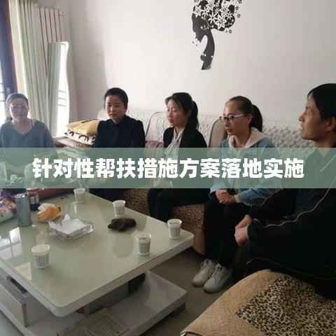 针对性帮扶措施方案落地实施