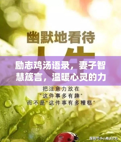 励志鸡汤语录,妻子智慧箴言,温暖心灵的力量!