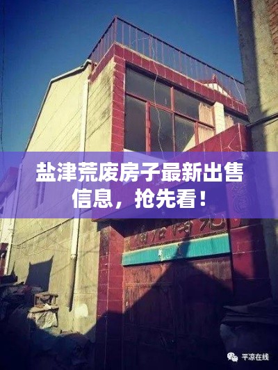 盐津荒废房子最新出售信息,抢先看!