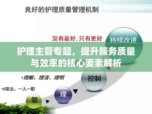 护理主管专题,提升服务质量与效率的核心要素解析
