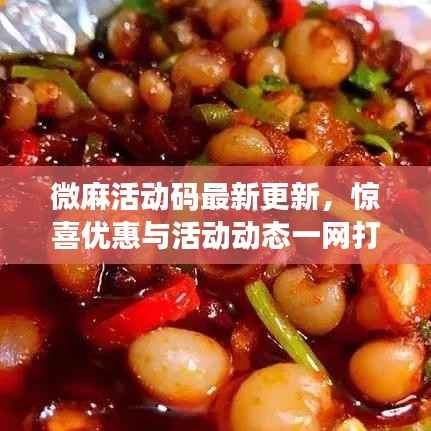微麻活动码最新更新,惊喜优惠与活动动态一网打尽
