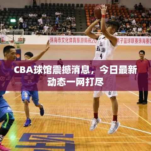 CBA球馆震撼消息，今日最新动态一网打尽