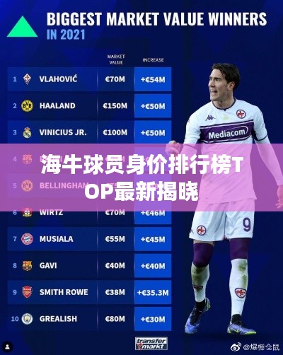 海牛球员身价排行榜TOP最新揭晓