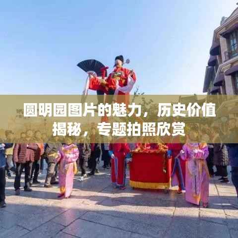 圆明园图片的魅力,历史价值揭秘,专题拍照欣赏