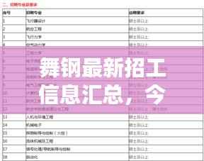 舞钢最新招工信息汇总,今日岗位全解析