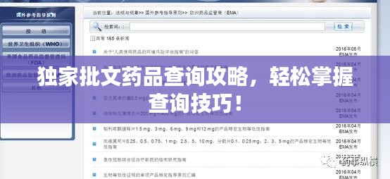 独家批文药品查询攻略,轻松掌握查询技巧!
