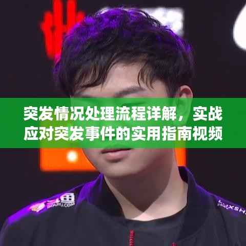 突发情况处理流程详解，实战应对突发事件的实用指南视频