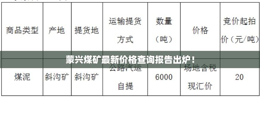 蒙兴煤矿最新价格查询报告出炉!