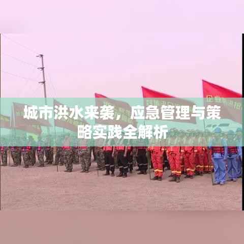 城市洪水来袭,应急管理与策略实践全解析