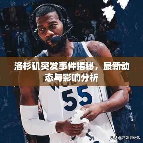 洛杉矶突发事件揭秘,最新动态与影响分析