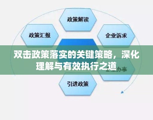 双击政策落实的关键策略,深化理解与有效执行之道