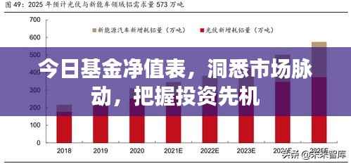 今日基金净值表,洞悉市场脉动,把握投资先机