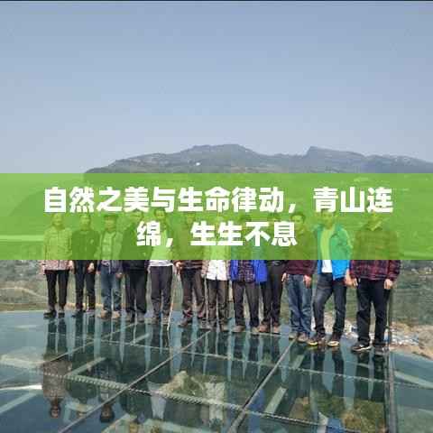 自然之美与生命律动,青山连绵,生生不息