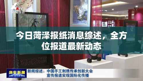 今日菏泽报纸消息综述,全方位报道最新动态