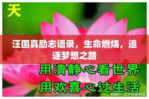 qinshouyimei 第2页