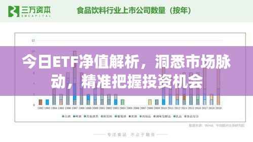 今日ETF净值解析,洞悉市场脉动,精准把握投资机会